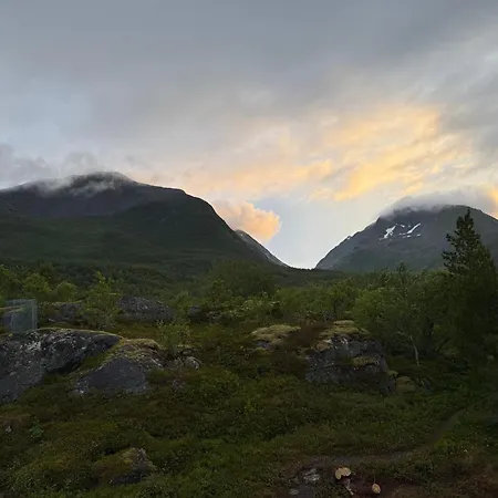 Nittebu * Senja